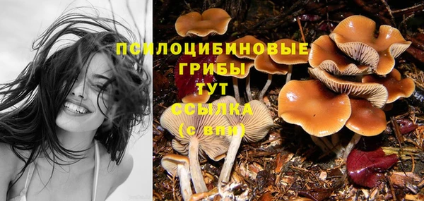 прущая мука Баксан