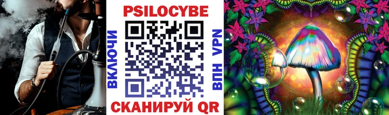 Псилоцибиновые грибы Psilocybe  продажа наркотиков  Горняк 